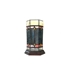 Picture of CH1T171GM14-TL1 Accent Table Lamp