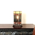 Picture of CH1T171GM14-TL1 Accent Table Lamp